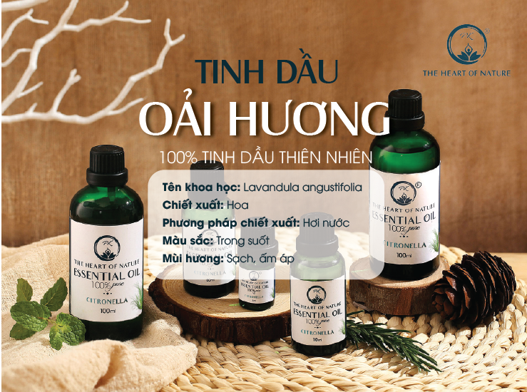 Tinh dầu cao cấp Lavender PK 5ml