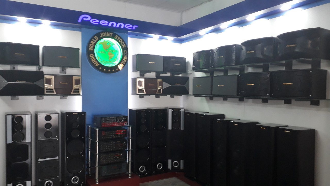 Amply Karaoke Gia đình Cao cấp Peenner PS-2800 Hàng chính hãng