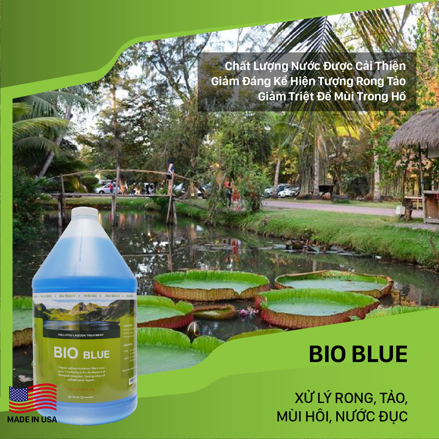 Bio Blue Vi sinh xử lý ao hồ bị ô nhiễm