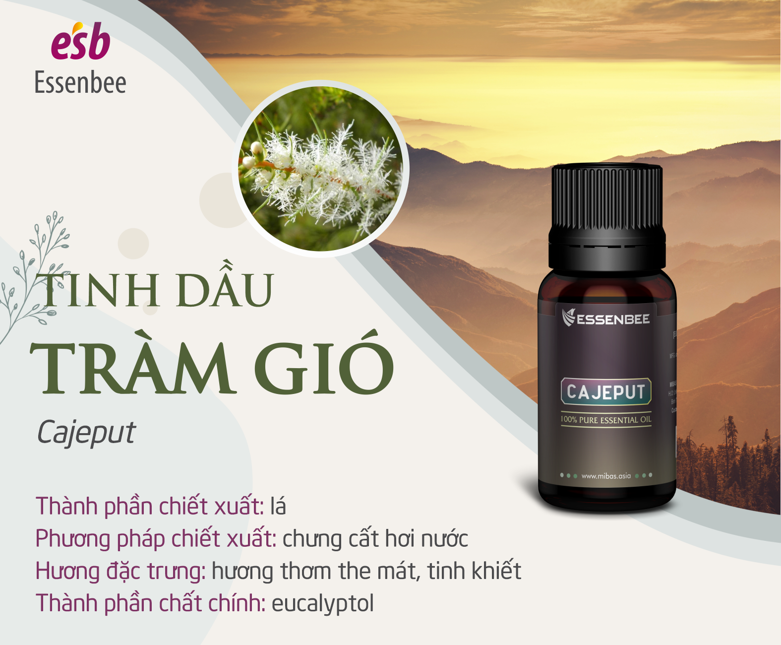 Tinh dầu thiên nhiên Tràm Gió - Essenbee - 30ml - Chống cảm lạnh, giảm ho, chống đầy hơi và khó tiêu. Chống côn trùng và muỗi đốt. Thích hợp và an toàn với phụ nữ mang thai và trẻ nhỏ.