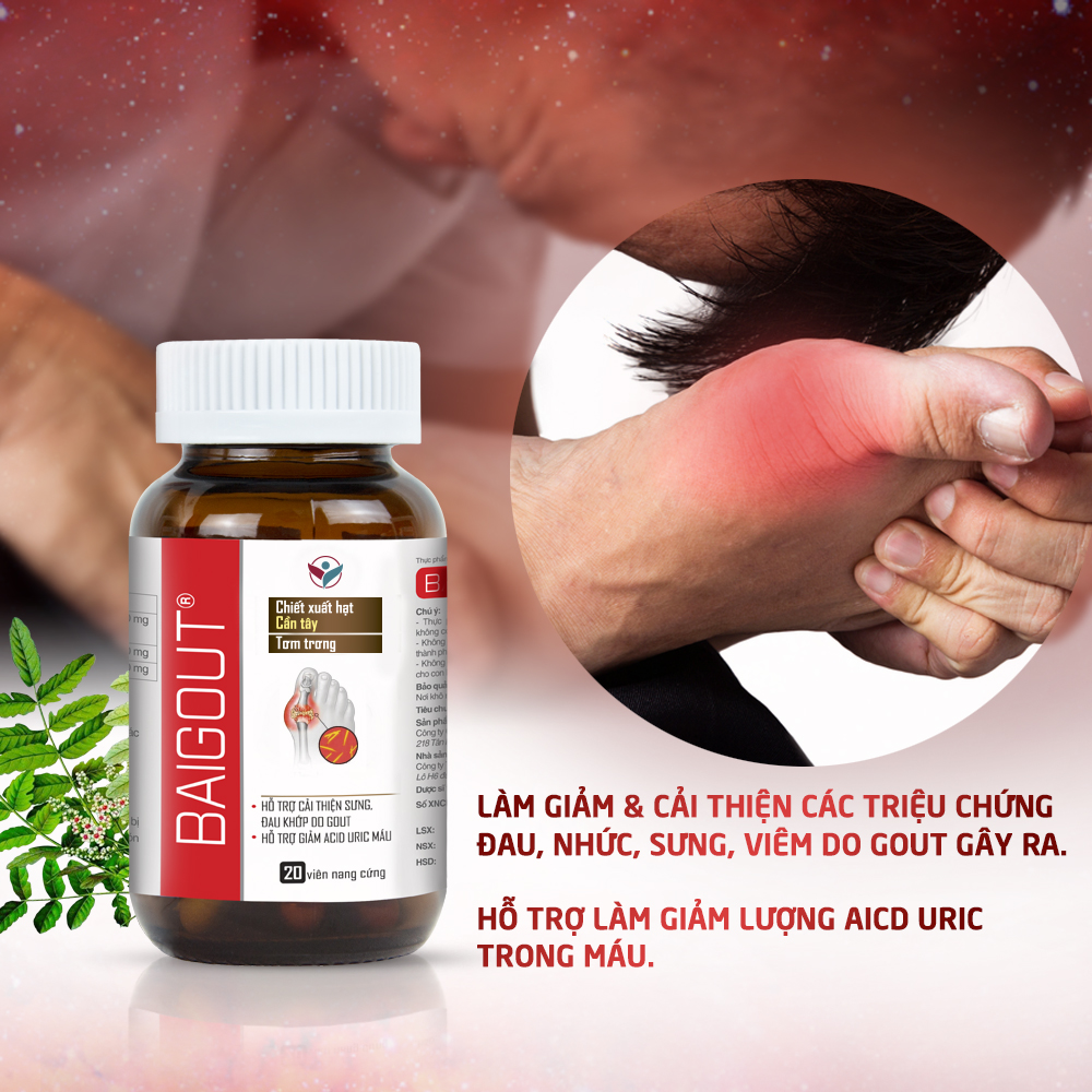Viên uống Hỗ Trợ Kiểm Soát Các Bệnh Về Gout, Hỗ Trợ Giảm Đau Do Gout Baigout