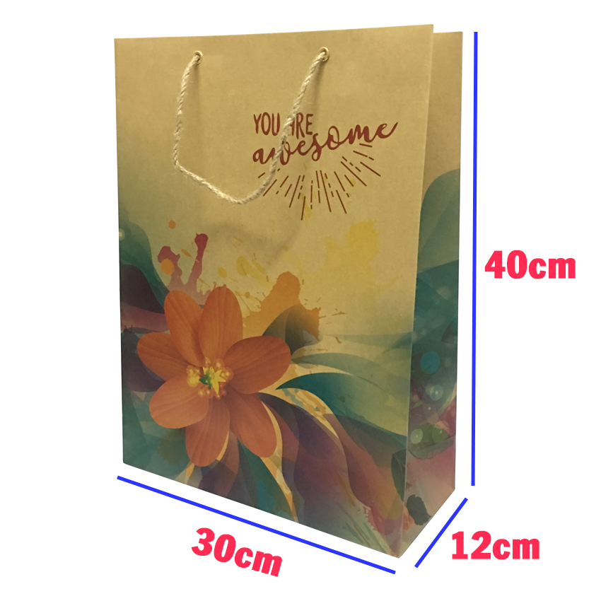 Combo 02 Túi Kraft Phượng Hoàng 220 -  40 x 30 x 12 cm - Giao mẫu ngẫu nhiên