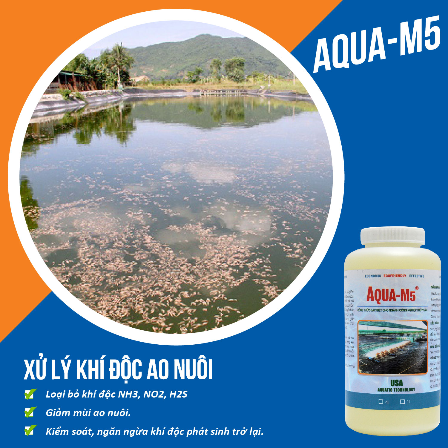 AQUA M5 Vi sinh xử lý khí độc trong ao nuôi thủy sản - Chai 1 lít