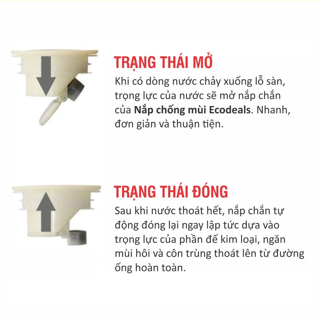 Nắp Chống Mùi Hôi Cống ECODEALS - Ngăn Mùi Thoát Sàn, Ngăn Côn Trùng, Chống Trào Ngược - Không cản trở dòng chảy, không kẹt rác, kích thước chuẩn lỗ sàn