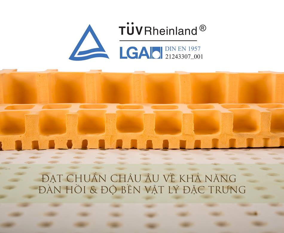 Nệm cao su Standard Vạn Thành - Vàng - 1.4 x 2.0 x 5cm