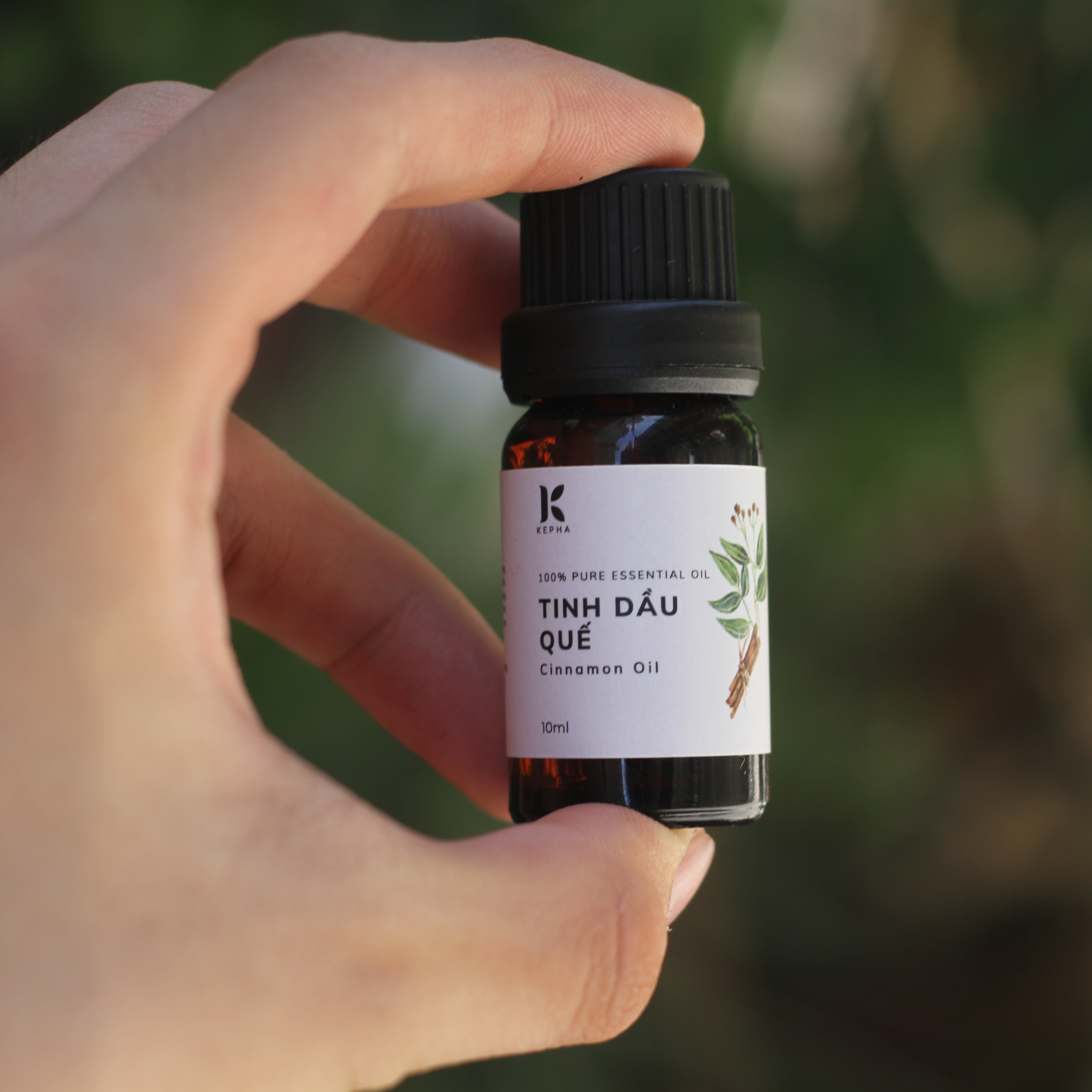 Tinh dầu Quế Kepha 10ml - Cassia Essential oil - Đảm bảo nguyên chất 100% - Giúp khử mùi, lau nhà, giúp sạch không khí