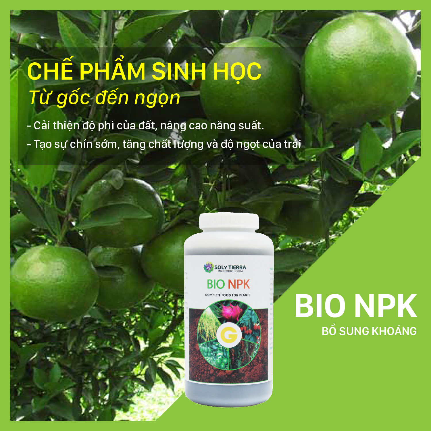 Bio NPK giúp cây hấp thụ tốt NPK, tăng độ ngọt trái chai 1 lít