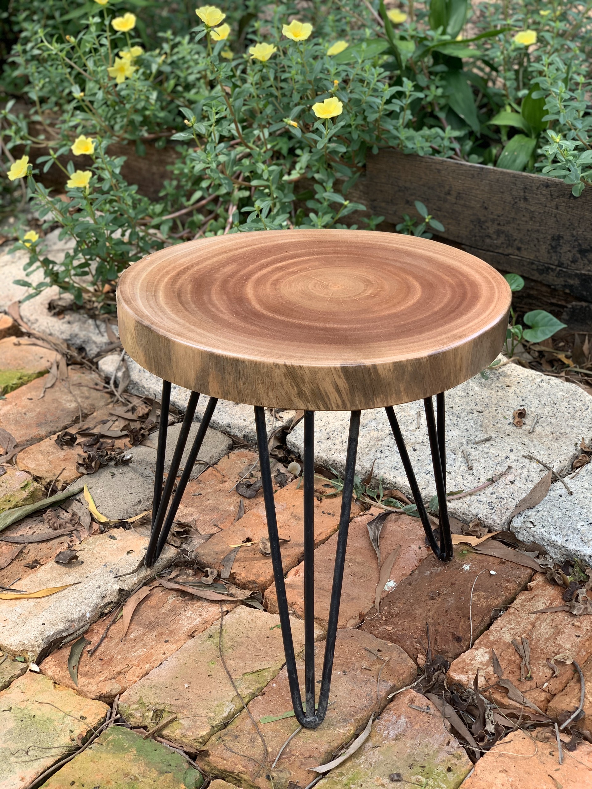 GHẾ ĐÔN GỖ XÀ CỪ NGUYÊN TẤM