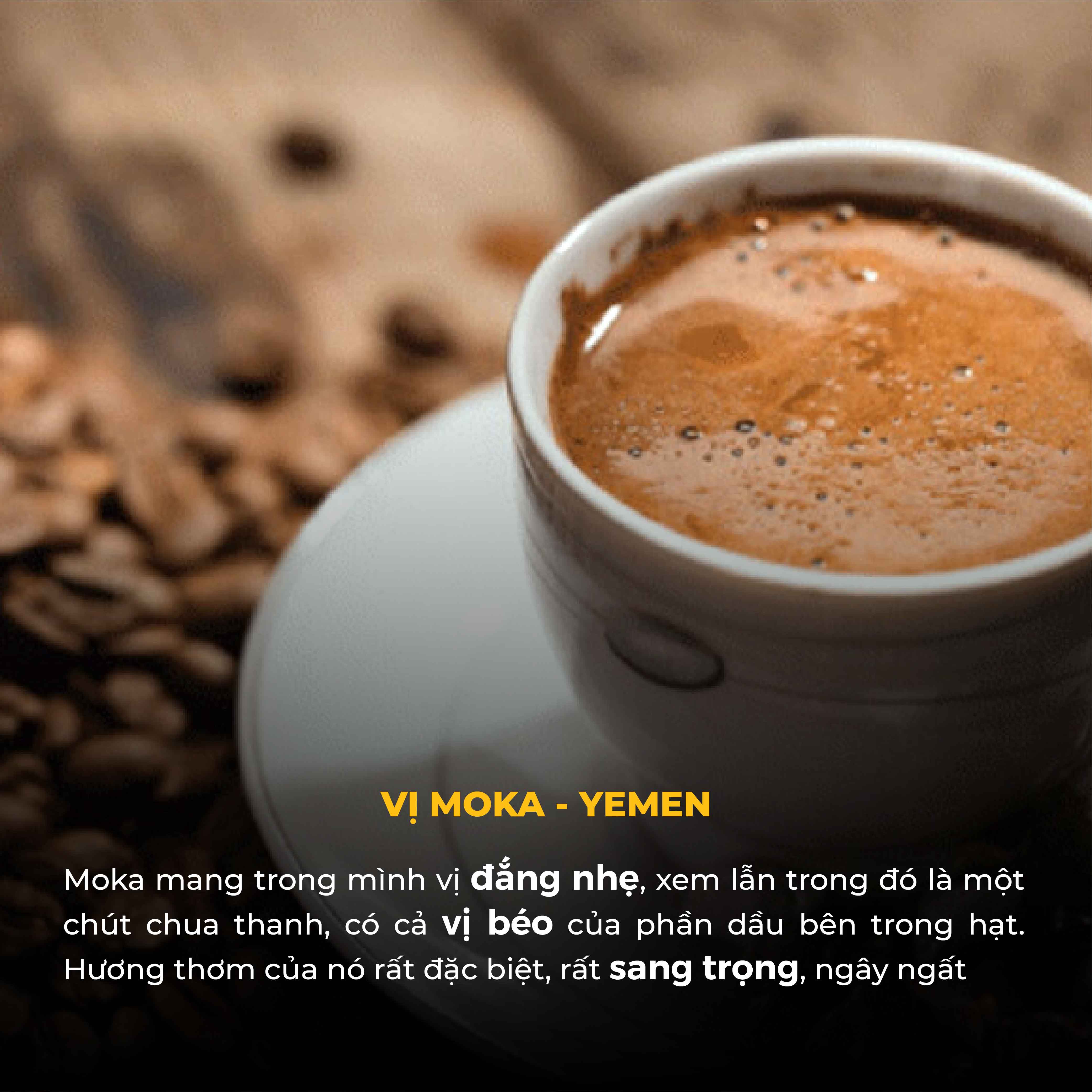 Combo Cà Phê Bột TORO MOKA YEMEN CẦU ĐẤT và ROBUSTA