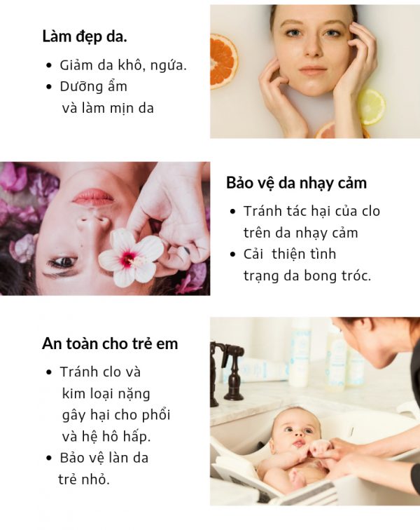 Lõi Lọc Nước Vòi Sen Vitamin C Daily Aqua Hàng Chính Hãng - Hương Thông