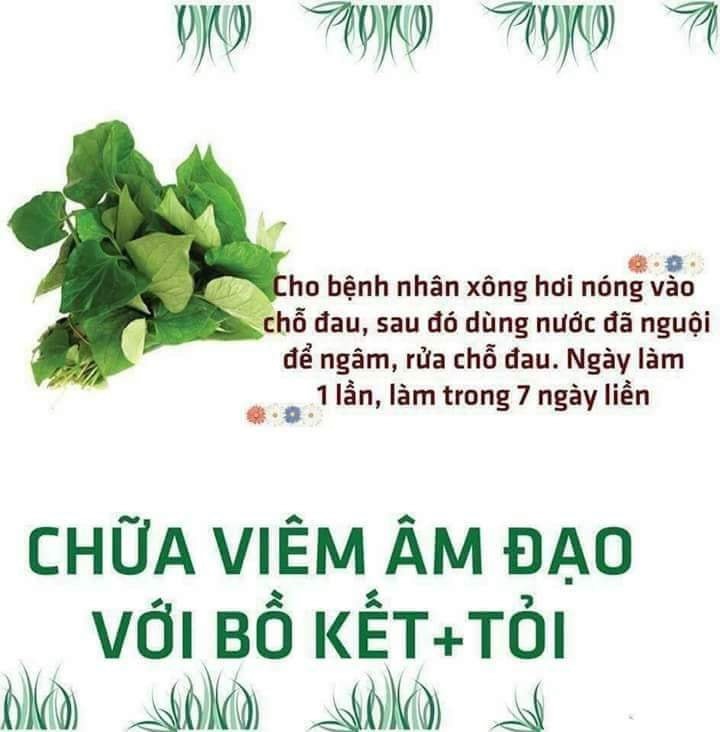 Bột Diếp Cá Nguyên Chất Mẹ Ken 100g