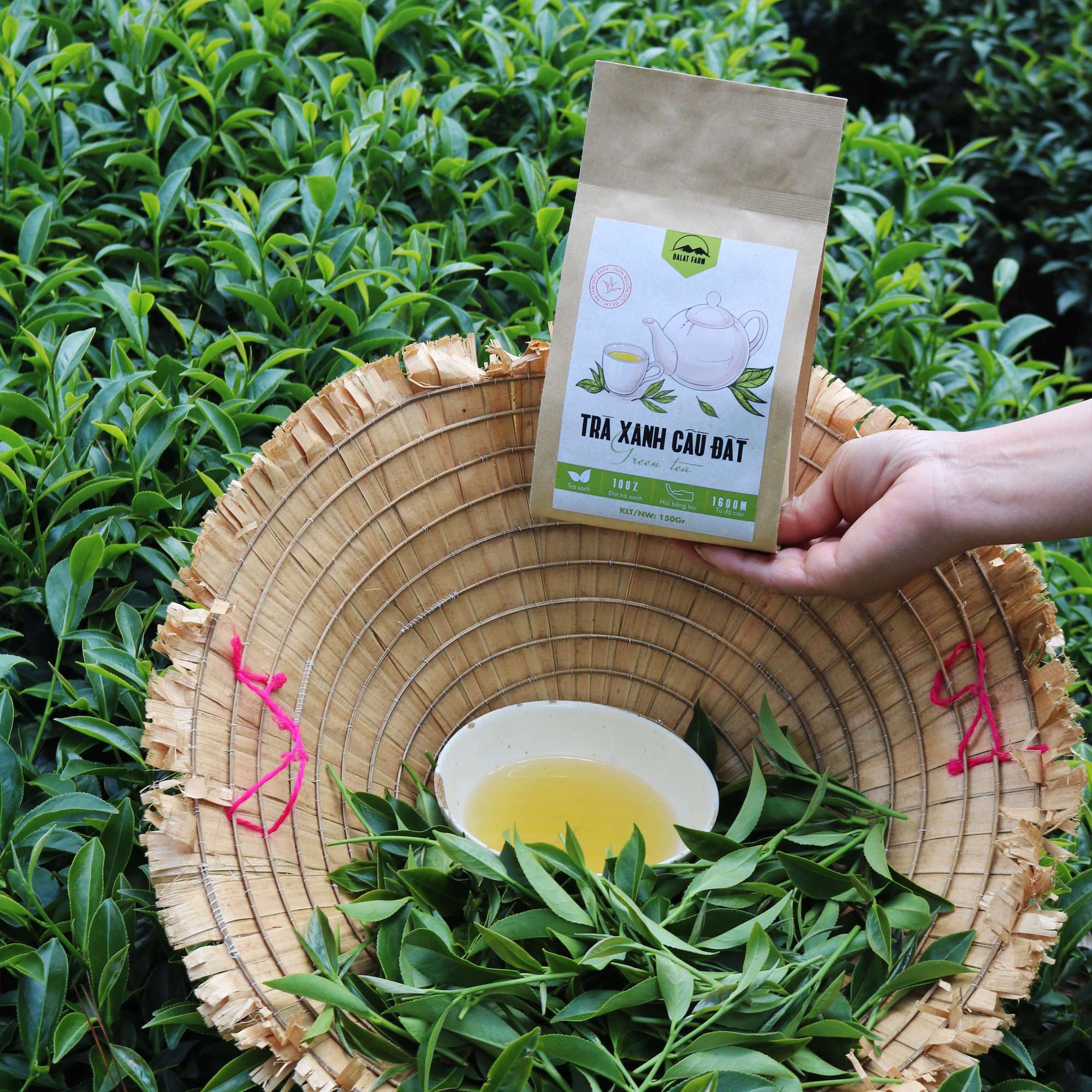 Hình ảnh Trà Xanh Cầu Đất - Túi 150Gr (Green Tea) 