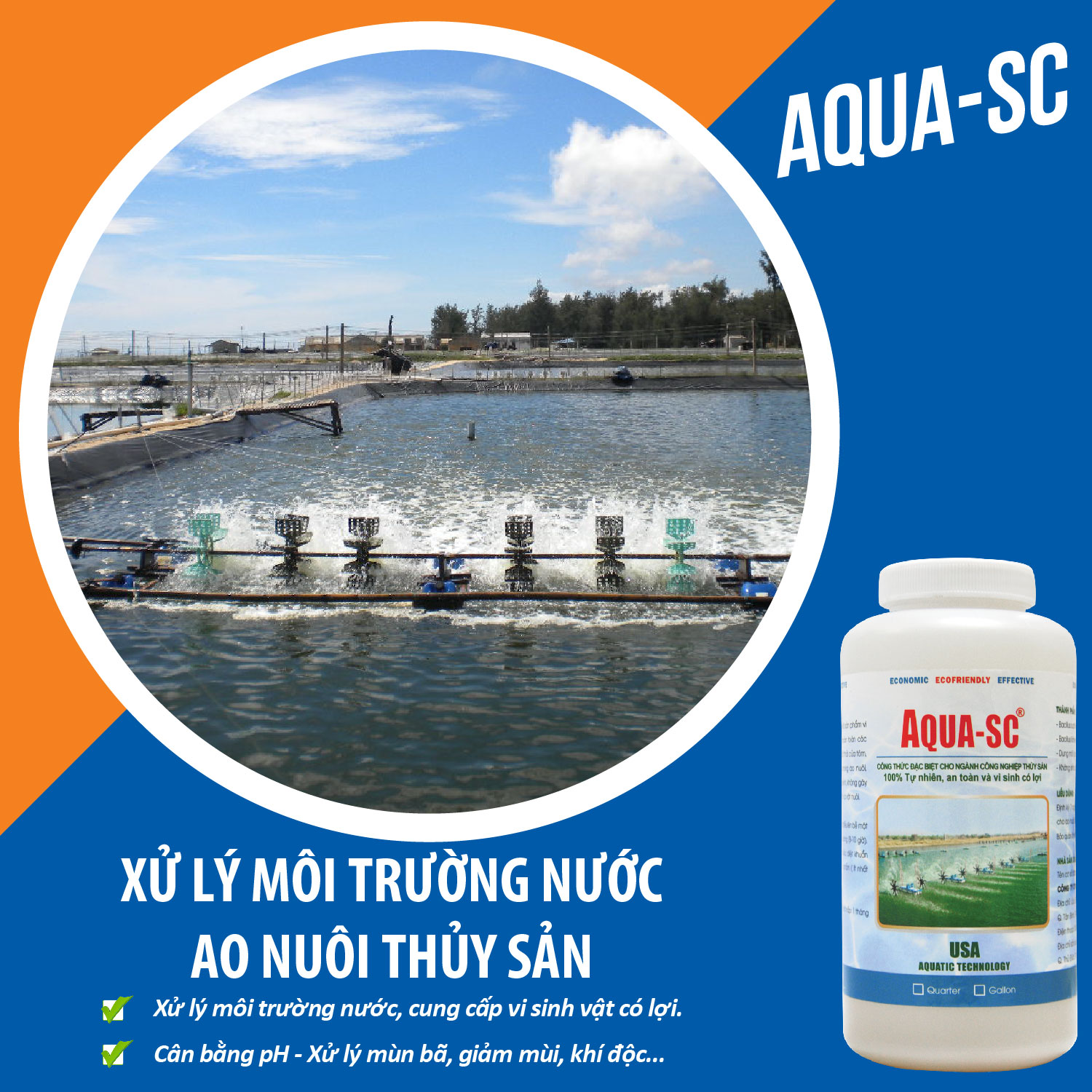 AQUA SC - Vi sinh xử lý nước hồ cá cảnh, cá koi, cá chép, nước ao nuôi trồng thủy sản - Chai 1 quarter