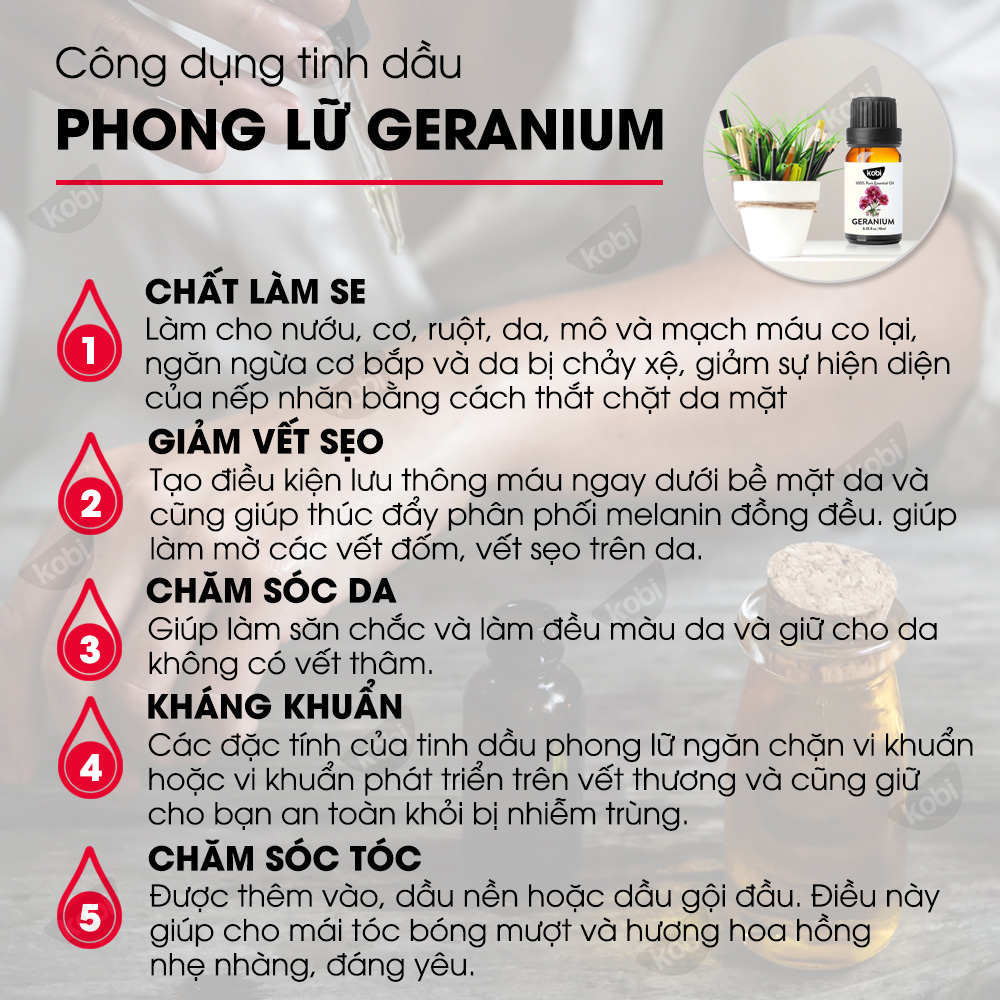 Tinh Dầu Phong Lữ Kobi Giúp Thơm Phòng, Giảm Stress, Chống Viêm Nhiễm (100ml)