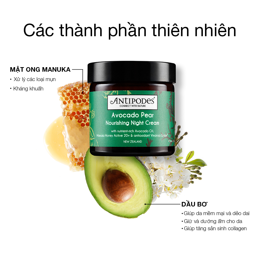 Kem Dưỡng Da Ban Đêm Antipodes Avocado Pear Nourishing Night Cream 60ml