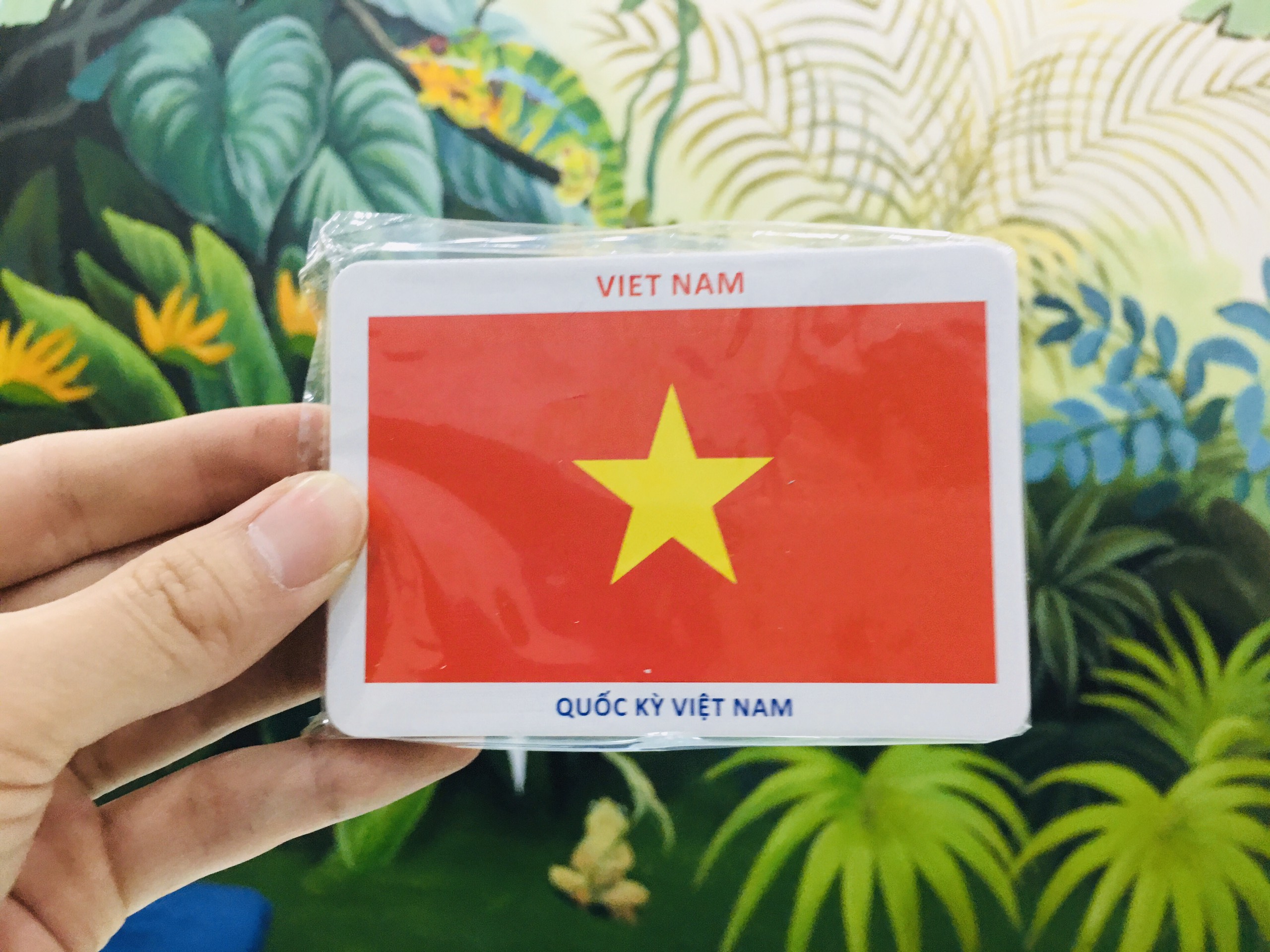 Thẻ Học Thông Minh Flashcard Song Ngữ Cho Bé