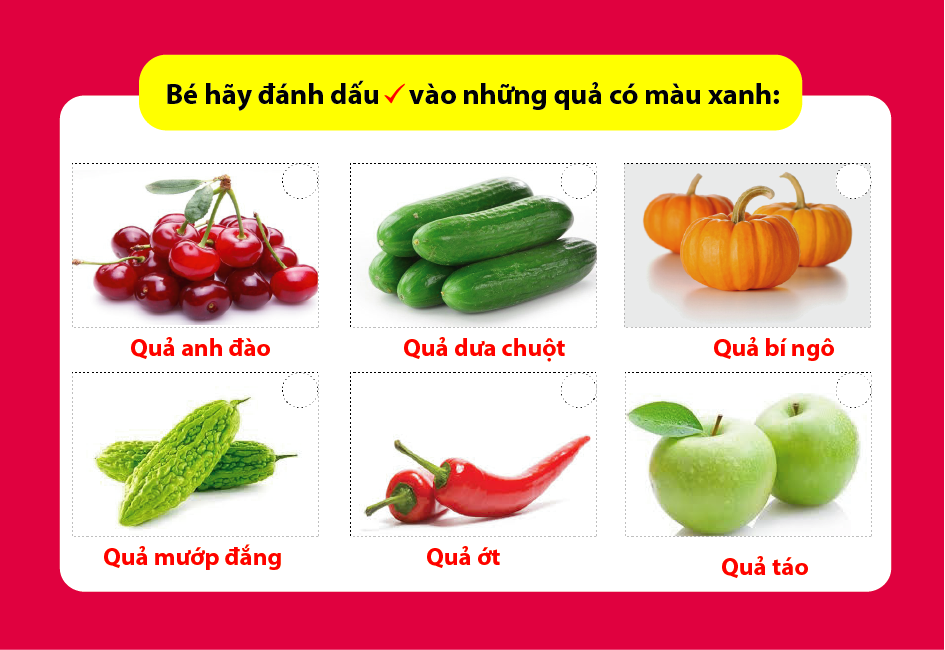 Thẻ Flash Card Thông  Minh Bé Nhận Biết Thế Giới Động Vật, Rau - Củ - Quả Và Chữ Cái Tiếng Việt (3 Hộp)