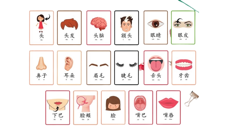 Flashcard Tiếng Trung gi&uacute;p ghi nhớ từ vựng nhanh v&agrave; hiệu quả