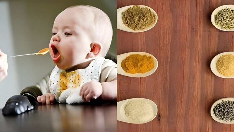 Gia vị cho b&eacute; hỗ trợ đa dạng thực đơn ăn dặm