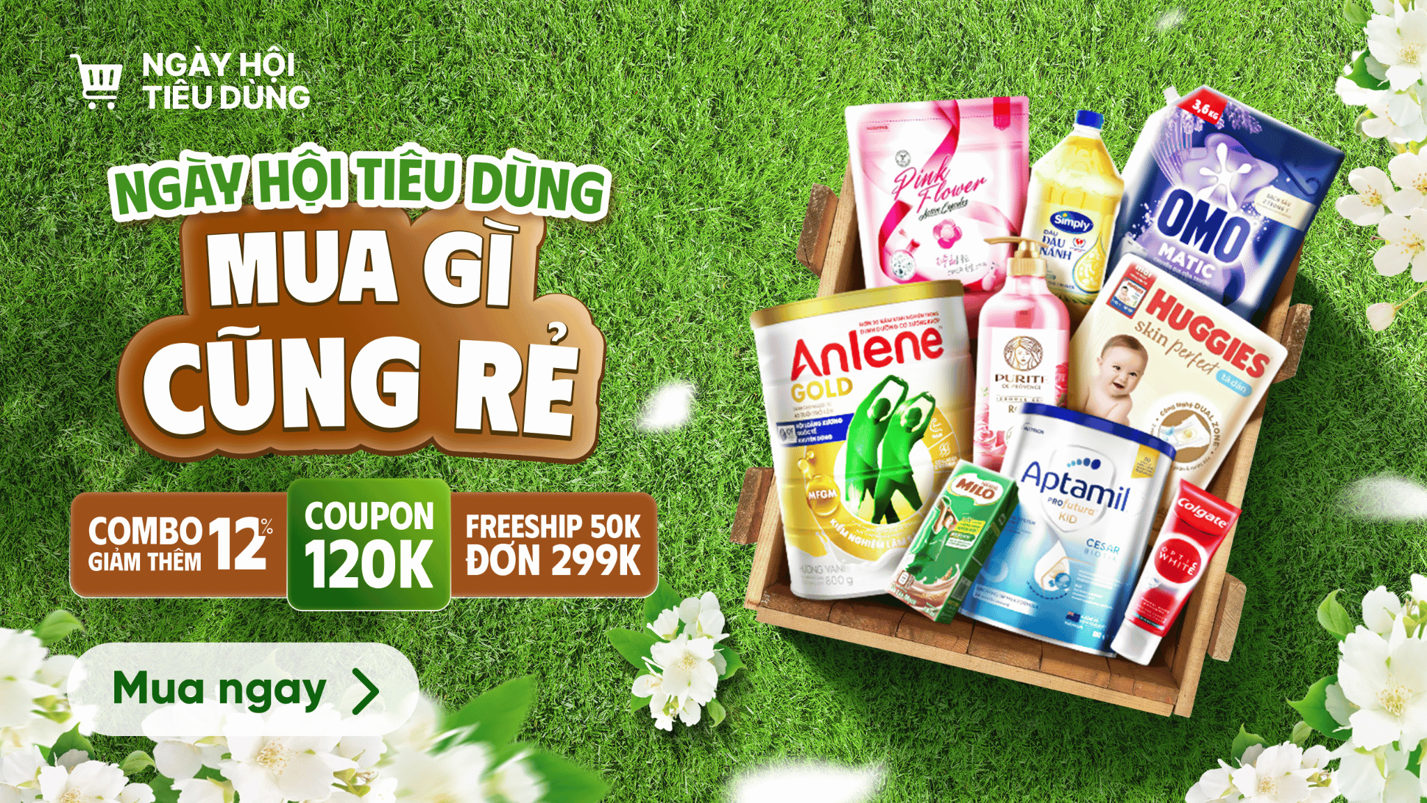 Thiết kế chưa có tên (24).png