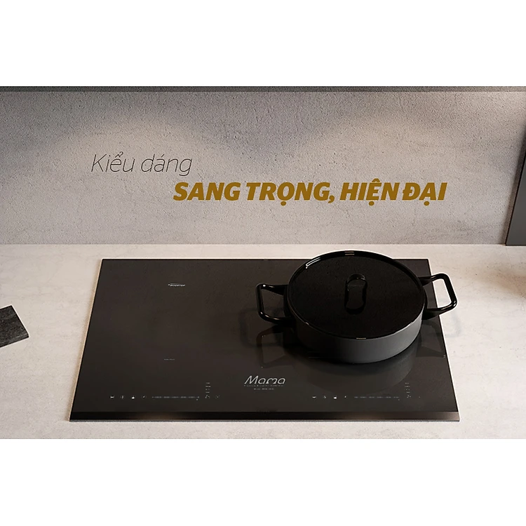 bếp điện từ đôi