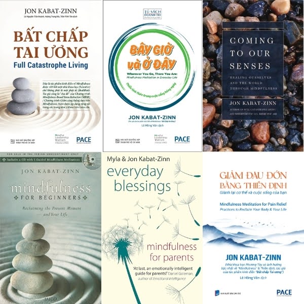 Các tác phẩm nổi bật của Jon Kabat-Zinn