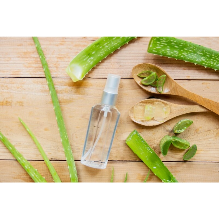 xịt kho&aacute;ng nha đam 