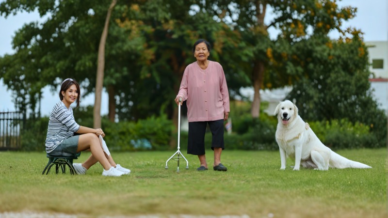 Gậy chống 3 chân cho người già đế rộng chống trượt an toàn