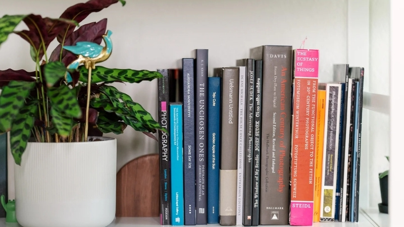 Đa dạng thể loại: Từ kỹ thuật cơ bản đến nghệ thuật ch&acirc;n dung v&agrave; phong cảnh