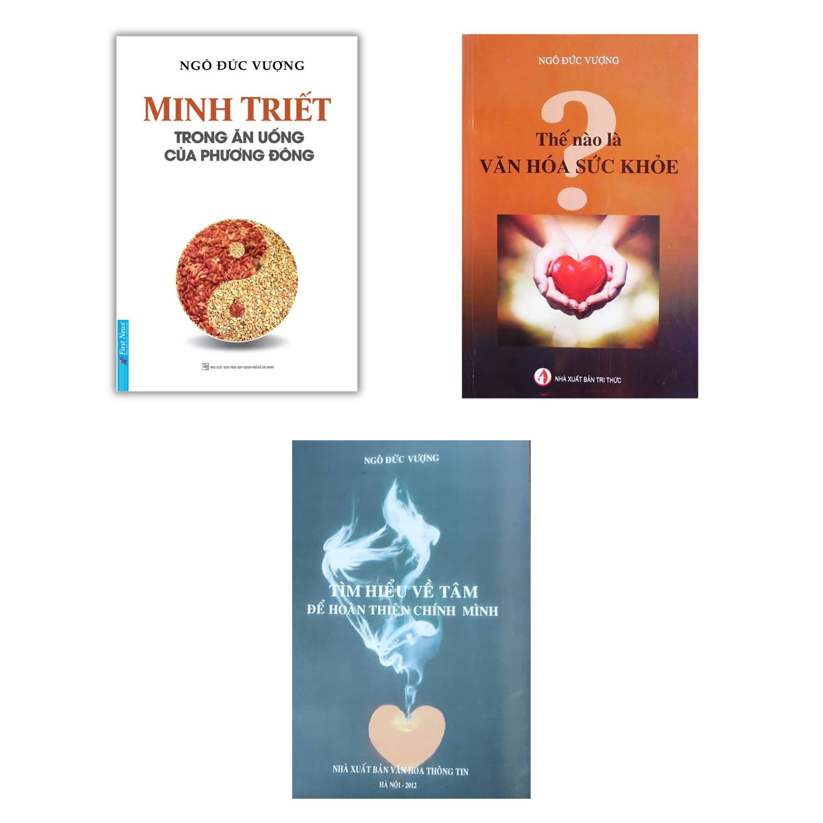 Các tác phẩm nổi bật của tác giả Ngô Đức Vượng