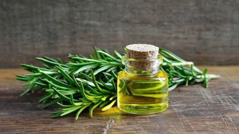 Dấu hiệu dầu tr&agrave;m nguy&ecirc;n chất an to&agrave;n