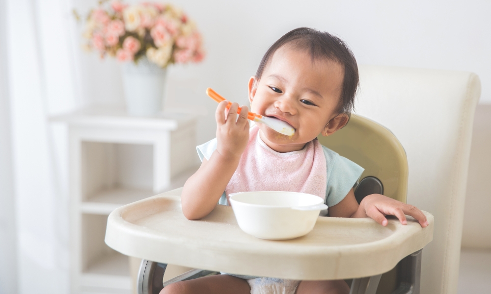 Ghế ăn dặm cho bé có nhiều loại