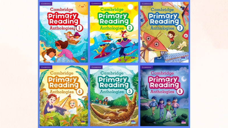 Reading Programme gi&uacute;p x&acirc;y dựng th&oacute;i quen đọc s&aacute;ch hiệu quả mỗi ng&agrave;y