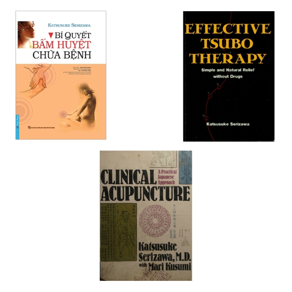 Các tác phẩm nổi bật của Katsusuke Serizawa