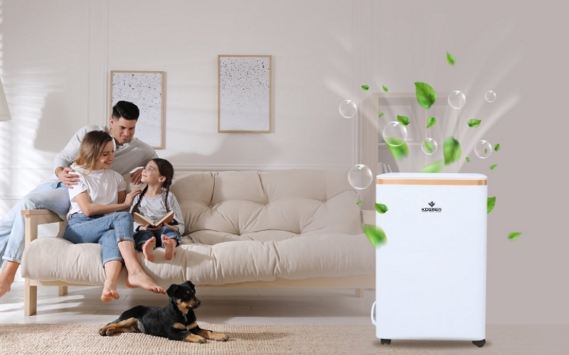 M&aacute;y h&uacute;t ẩm gi&uacute;p gia đ&igrave;nh kh&ocirc;ng c&ograve;n lo ẩm ướt kh&oacute; chịu trong nh&agrave; của m&igrave;nh