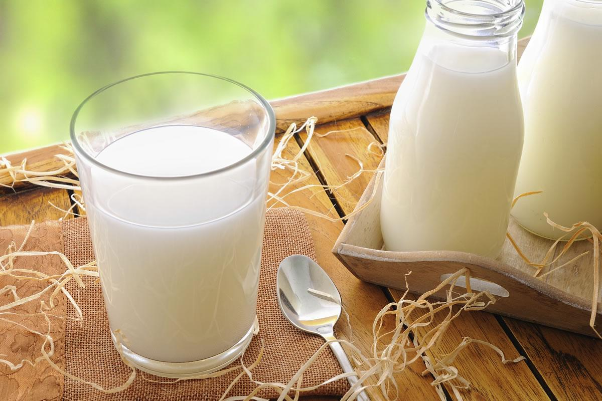 Sữa tươi không đường là gì 