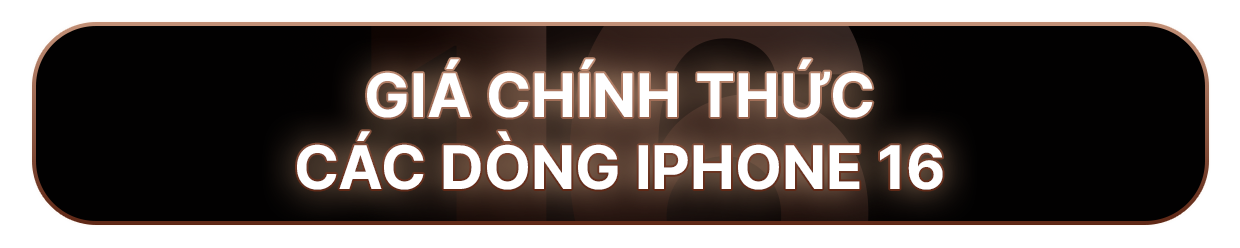 Label copy 7.png
