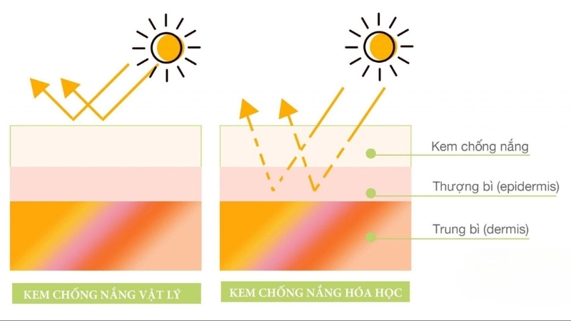 Bao gồm màng lọc vật lý an toàn, màng lọc hóa học mỏng nhẹ và các hoạt chất dưỡng da