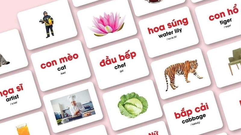 Flashcards cho b&eacute; ph&ugrave; hợp cho giai đoạn ph&aacute;t triển sớm.