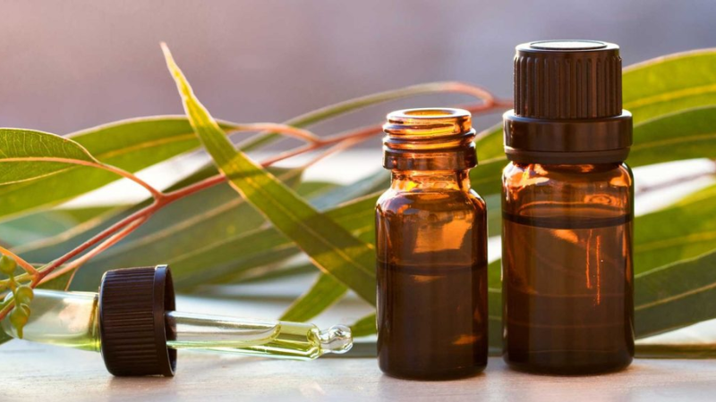 Dầu tr&agrave;m ch&iacute;nh h&atilde;ng bảo vệ sức khỏe gia đ&igrave;nh