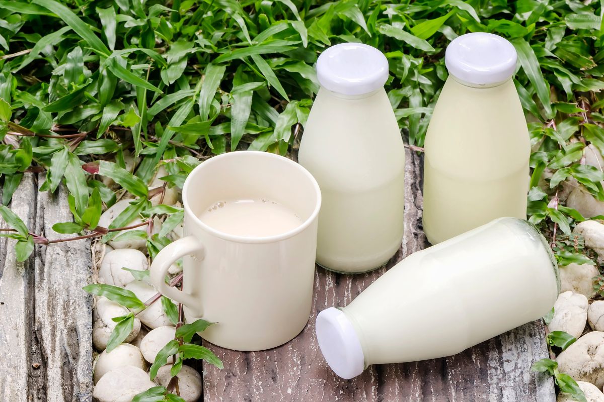 Những lưu ý khi sử dụng sữa tươi