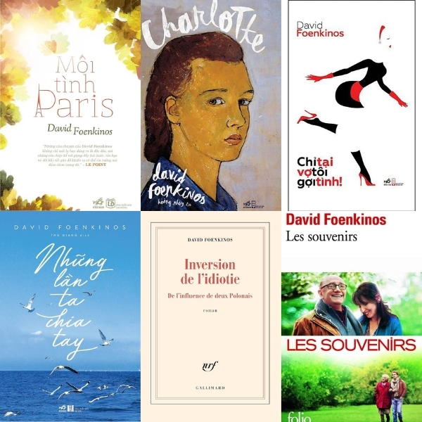 Các tác phẩm nổi bật của David Foenkinos