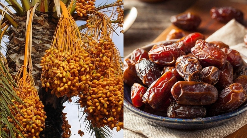 Ch&agrave; l&agrave; l&agrave; giải ph&aacute;p thay thế ho&agrave;n hảo cho đường tinh luyện trong c&aacute;c c&ocirc;ng thức nấu ăn l&agrave;nh mạnh