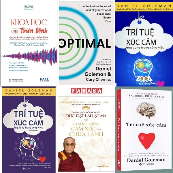 Các tác phẩm nổi bật của Daniel Goleman