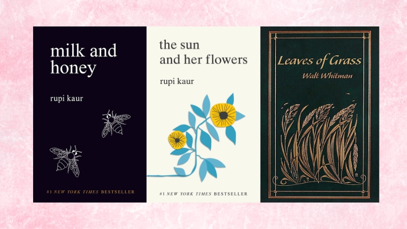 S&aacute;ch Poetry ph&ugrave; hợp cho người y&ecirc;u vẻ đẹp của ng&ocirc;n ngữ