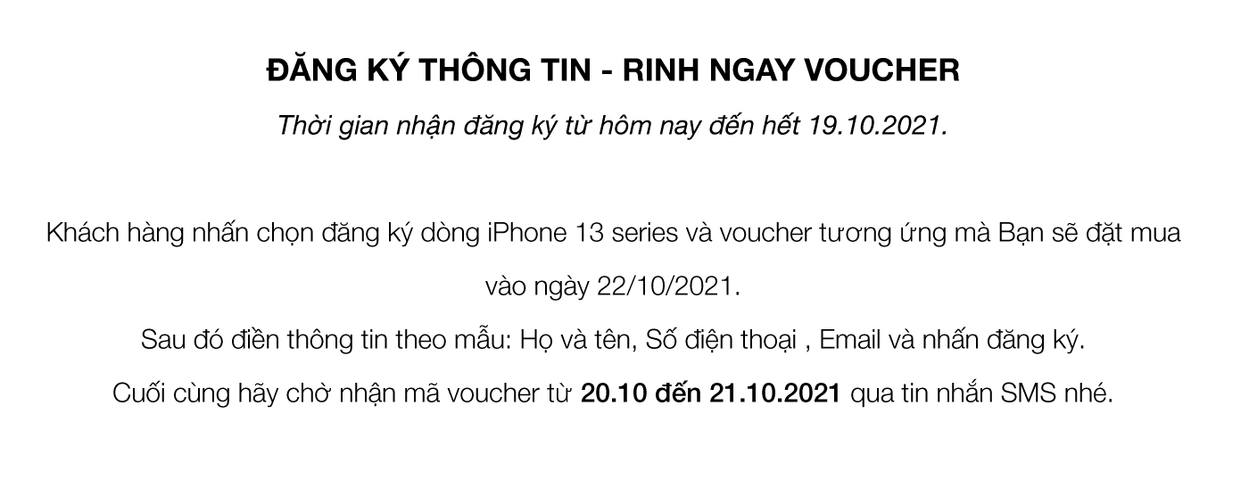 t&c-2.png