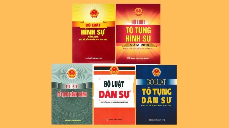 Từ văn bản luật gốc đến c&aacute;c s&aacute;ch b&igrave;nh luận chuy&ecirc;n s&acirc;u v&agrave; t&igrave;nh huống thực tế