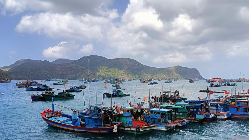 Phát triển kinh tế nông nghiệp bền vững bắt đầu từ một cuốn Sách Nông – Lâm – Ngư Nghiệp