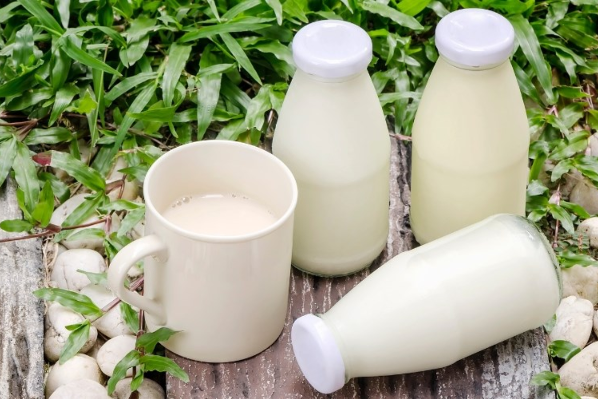 Sữa tươi nguyên kem không đường