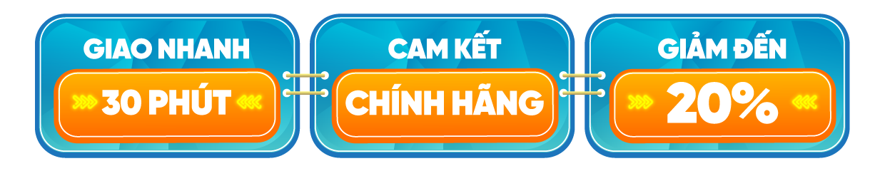 3-CAM-KET-CHINH-HANG.png